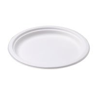 10" Sugarcane Round Plate