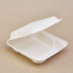 Enviro Clamshell Large Dinner 10"