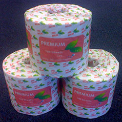 Toilet Paper Roll Premium Unwrapped 2ply 700 Sheet